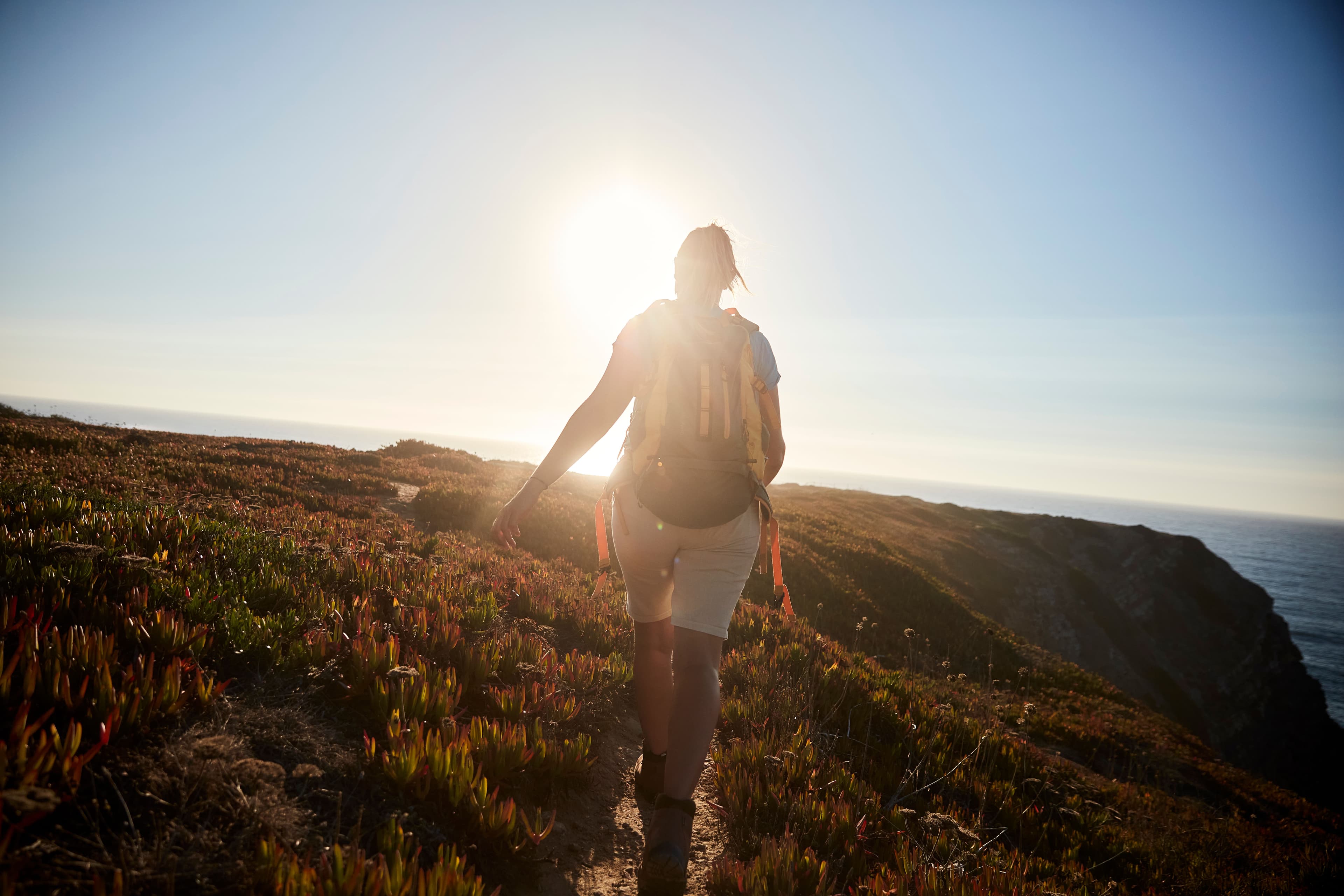 Rota Vicentina